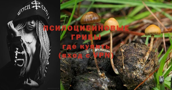 бутират Алексин