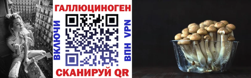 Псилоцибиновые грибы Psilocybe Киселёвск