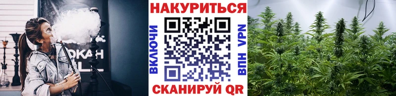 Шишки марихуана Ganja  ссылка на мегу рабочий сайт  Киселёвск 